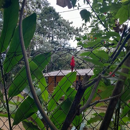 Sitio Das Bromelias Cachoeira Do Tombador Убатуба Экстерьер фото
