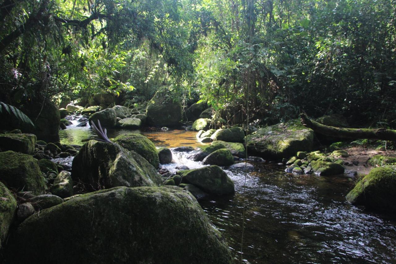 Sitio Das Bromelias Cachoeira Do Tombador Убатуба Экстерьер фото