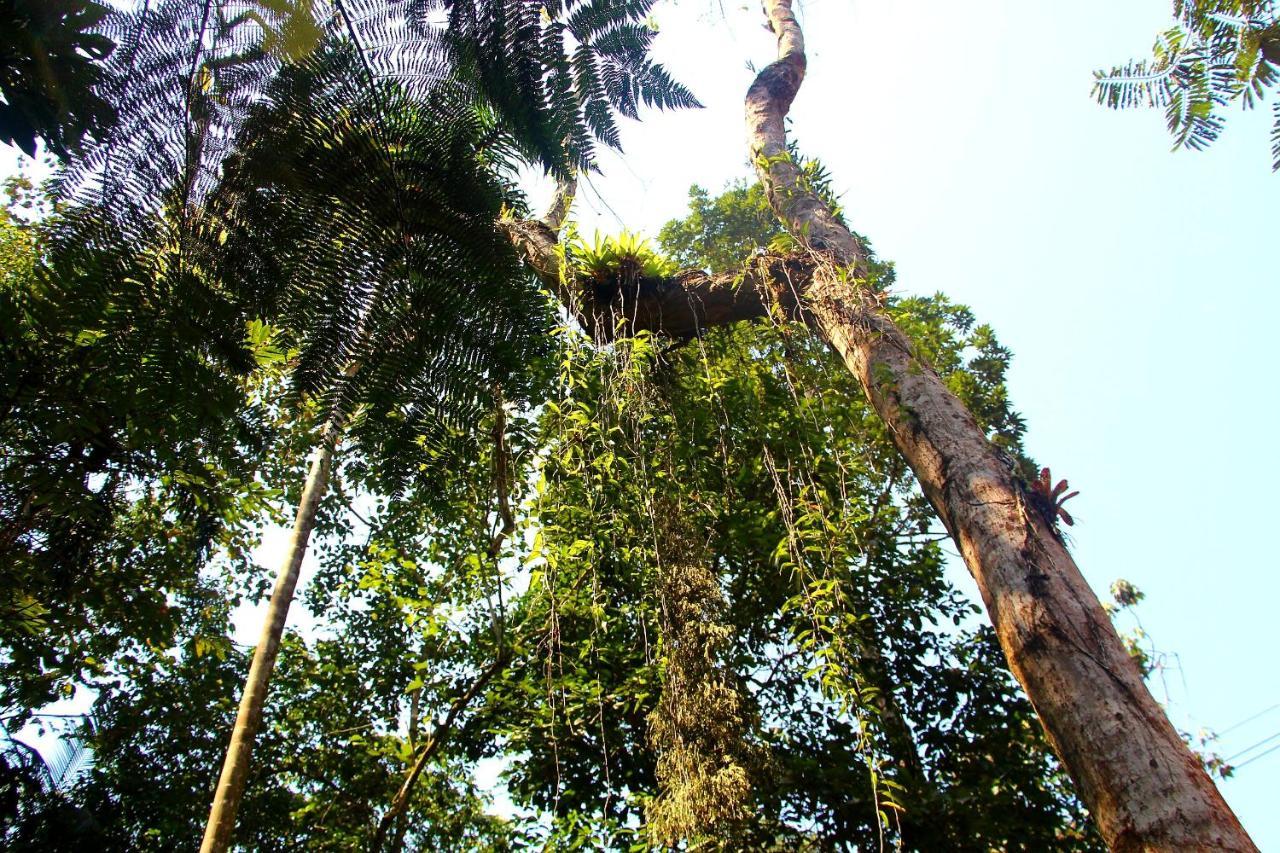 Sitio Das Bromelias Cachoeira Do Tombador Убатуба Экстерьер фото